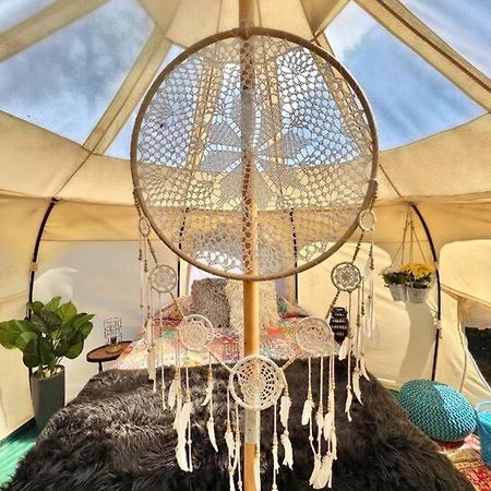 The Pisces-A Stargazing, Luxury Glamping Tent Rogersville エクステリア 写真