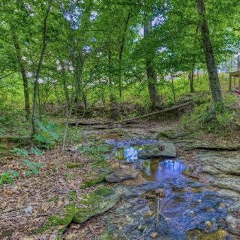 The Pisces-A Stargazing, Luxury Glamping Tent Rogersville エクステリア 写真